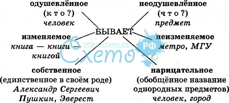 Имена существительные собственные и нарицательные одушевленные. Одушевлённые и неодушевлённые имена существительные нарицательные. Одушевленные неодушевленные собственные нарицательные. Собственное или нарицательное одушевленное или неодушевленное. Собственное одушевленное существительное примеры