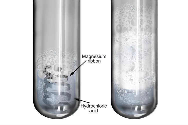 Hcl магний реакция. Магний и соляная кислота. Магний и соляная кислота реакция. Взаимодействие магния с соляной кислотой. Магрий+солянаякислота.