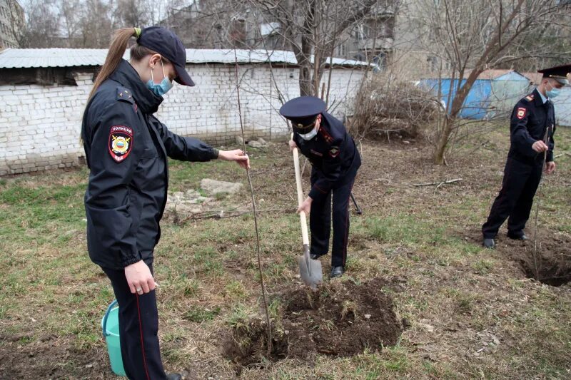 Дело полиции. Дело полиции. Дело полиции. Полицейский следователь. Уголовное дело папка.