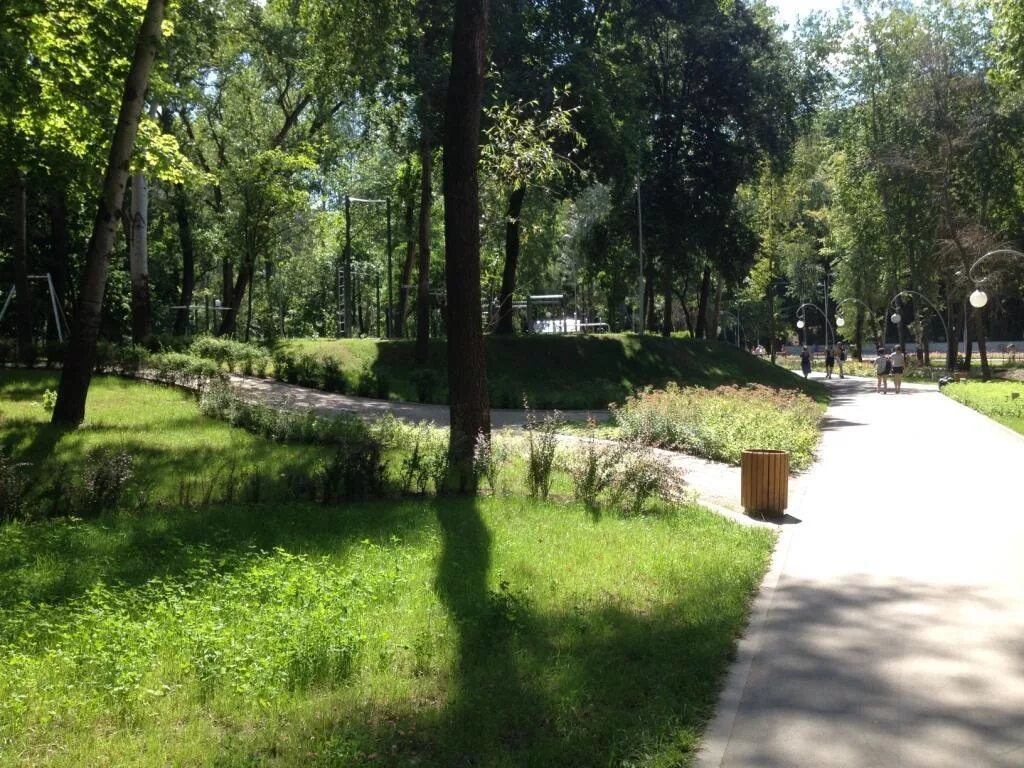 Центральный парк Воронеж. Парк Динамо Воронеж. Воронежский Центральный парк культуры и отдыха. Воронеж центр парк.