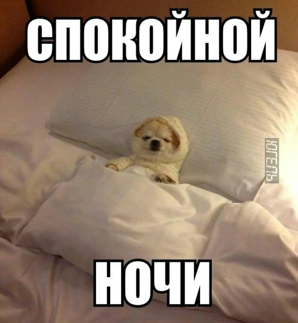 Тихо ложись спать