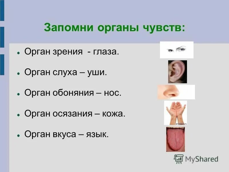 Чувствую сколько