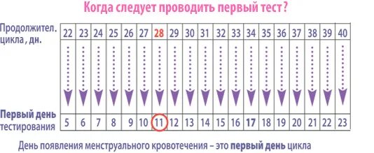 Забеременеть на 8 день цикла. Тест на 19 день цикла. 19 День цикла тест на беременность. 31 День цикла тест на беременность. Тест на беременность при цикле 28 дней.