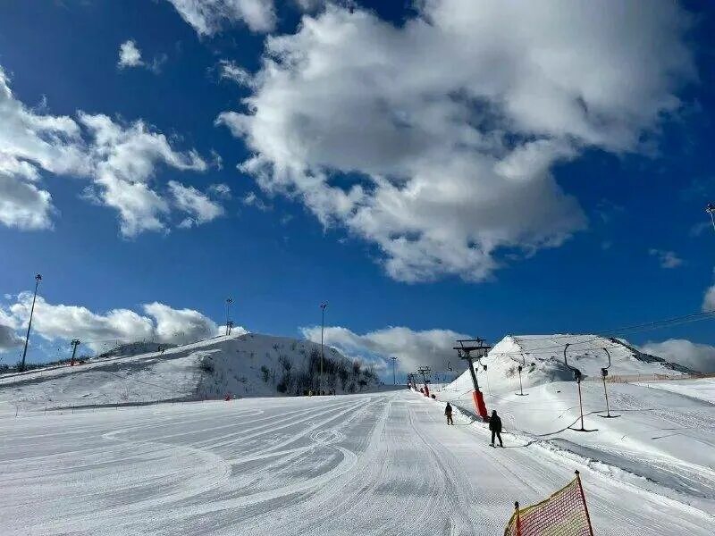 Лисья гора в балашихе. Лисья гора нижний тагил башня. Балашиха сноуборд лисья гора. Лисья гора нижний тагил башня. Лисья гора лого.