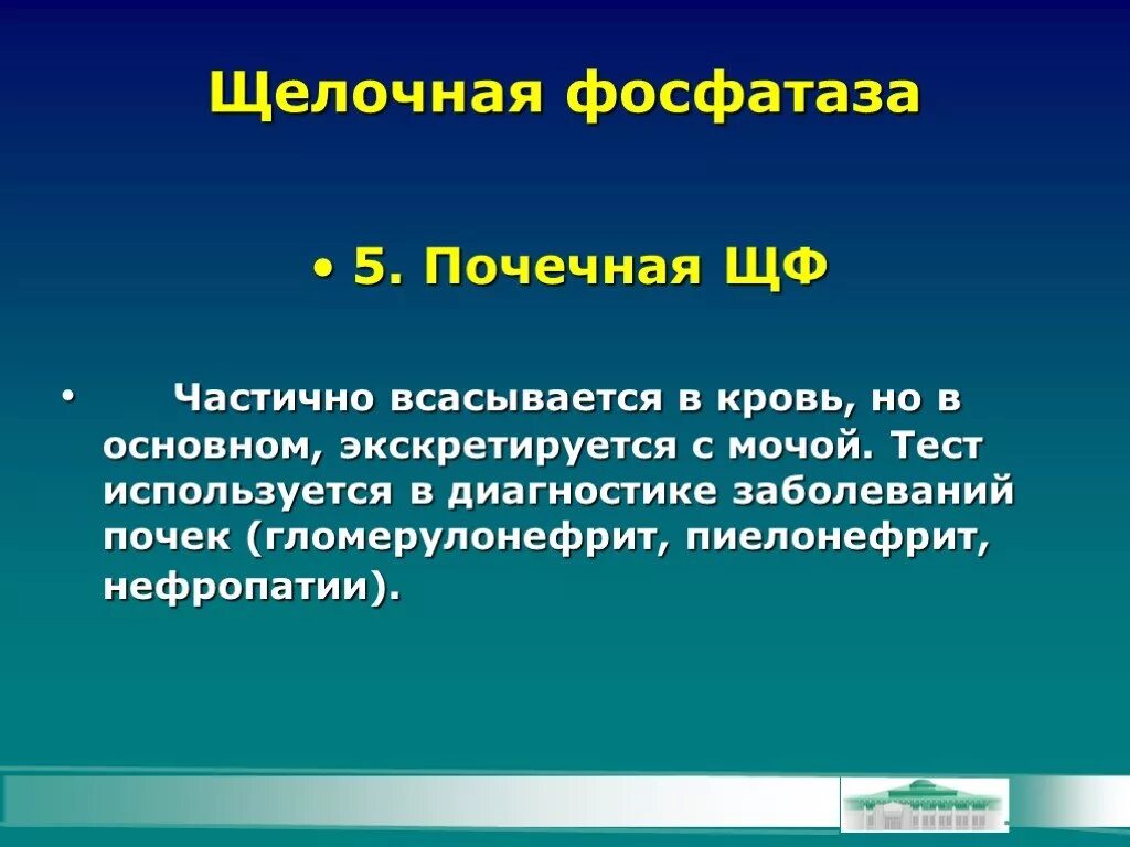 Щелочная фосфатаза. Щелочная фосфатаза в почках. Щелочная фосфатаза изоферменты. Щелочная фосфатаза (ЩФ). Фосфатаза щелочная почему повышенная