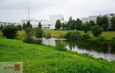 Погода в лмс вороново на неделю