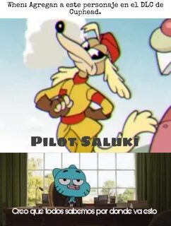 Pilot saluki
