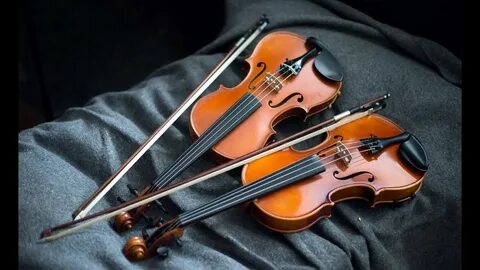 Violin скрипка