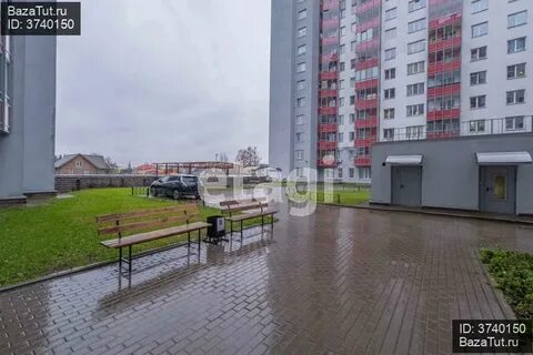 Новая 11