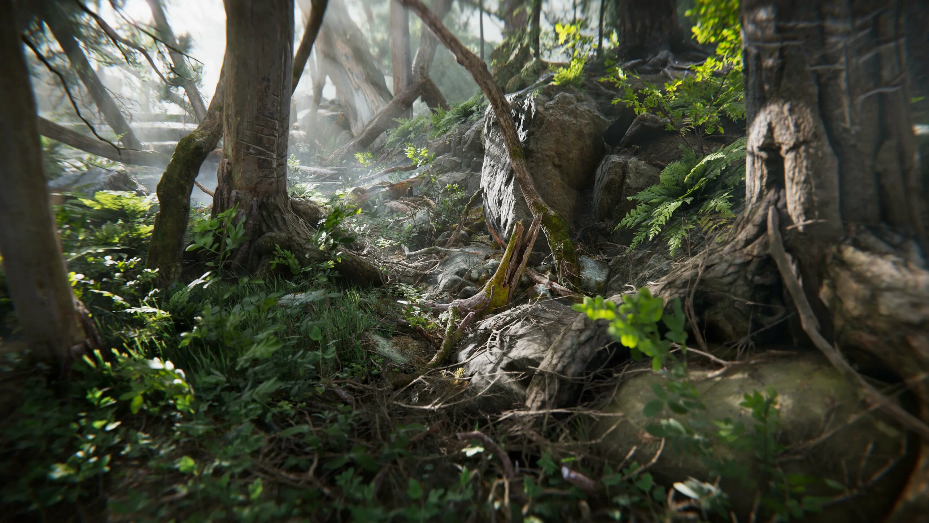 Custom environment