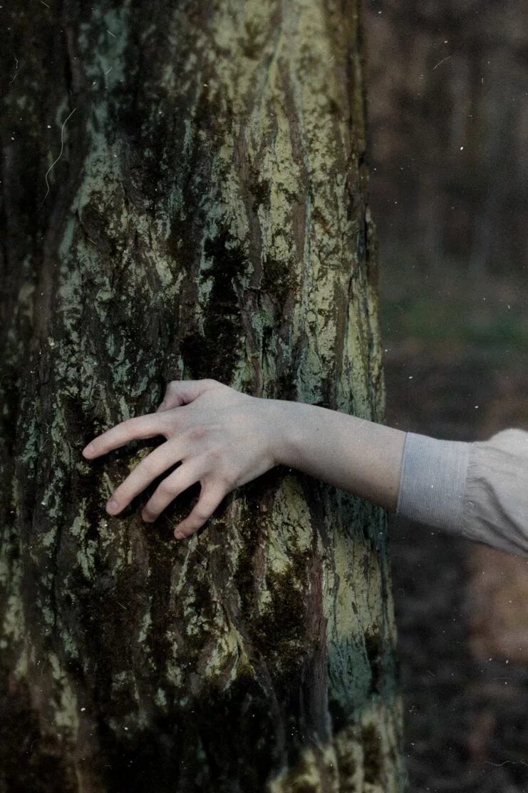 She was lost. Девушка в лесу Эстетика. Фотосессия в лесу. Человек в лесу. Человек в лесу Эстетика.