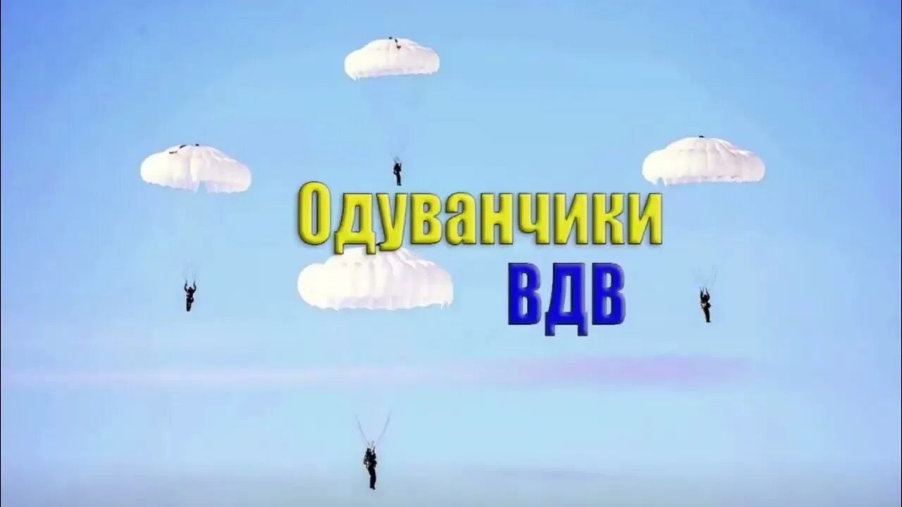 ВДВ одуванчики. С днем ВДВ одуванчики. Голубые береты одуванчики. Песня ВДВ одуванчики.