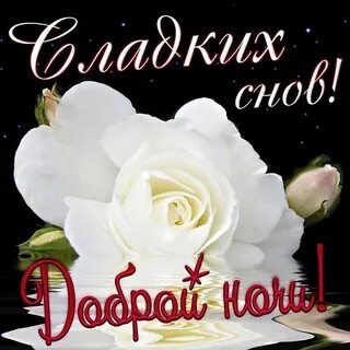 Картинки доброй ночи женщине с пожеланиями