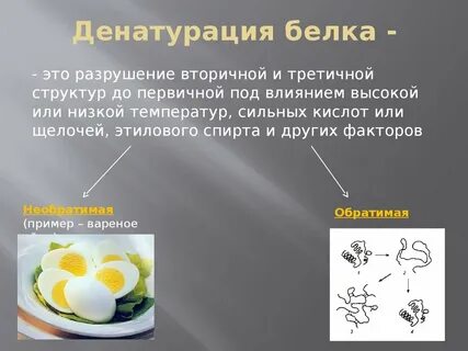 При неполной денатурации белка первой разрушается структура