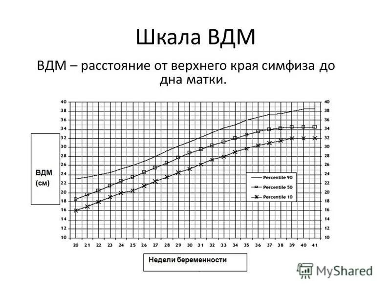 Дно матки после родов. Гравидограмма ВДМ. Высота дна матки по неделям беременности. Высота стояния дна матки по неделям беременности. Измерение высоты дна матки Гравидограмма.