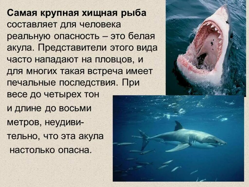 Информация о самых