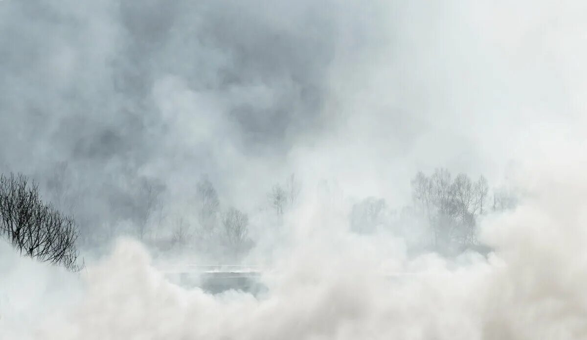 песня из кинофильма туман