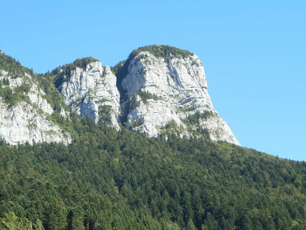 Гора коли. Рошея (Rochea falcata). Qaya Rosh. Гора колла