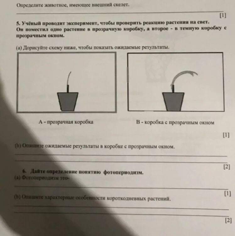 Помещают в один и тот. Учёный провёл эксперимент с растением для этого он поместил растение. Помещают в один и тот. Помещают в один и тот. Опыт с растением и маслом.