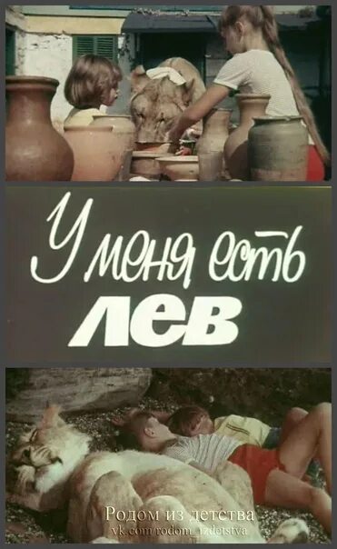 Завтра я бывала львом