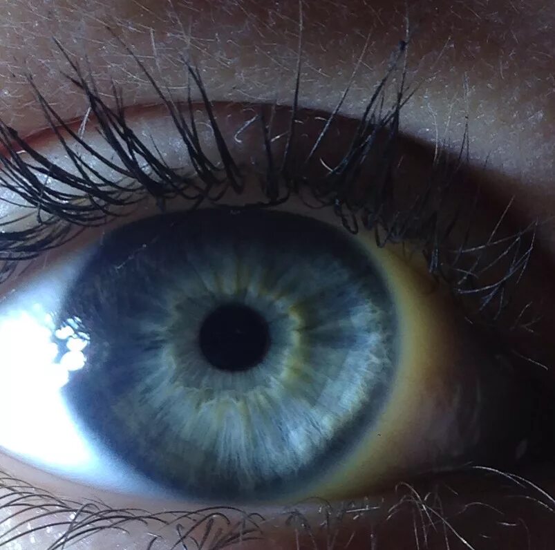 Серо голубоглазая. Серо зелено голубые глаза. Сине-зелёный цвет глаз. Голубо карие глаза. Тёмно-голубой цвет глаз.
