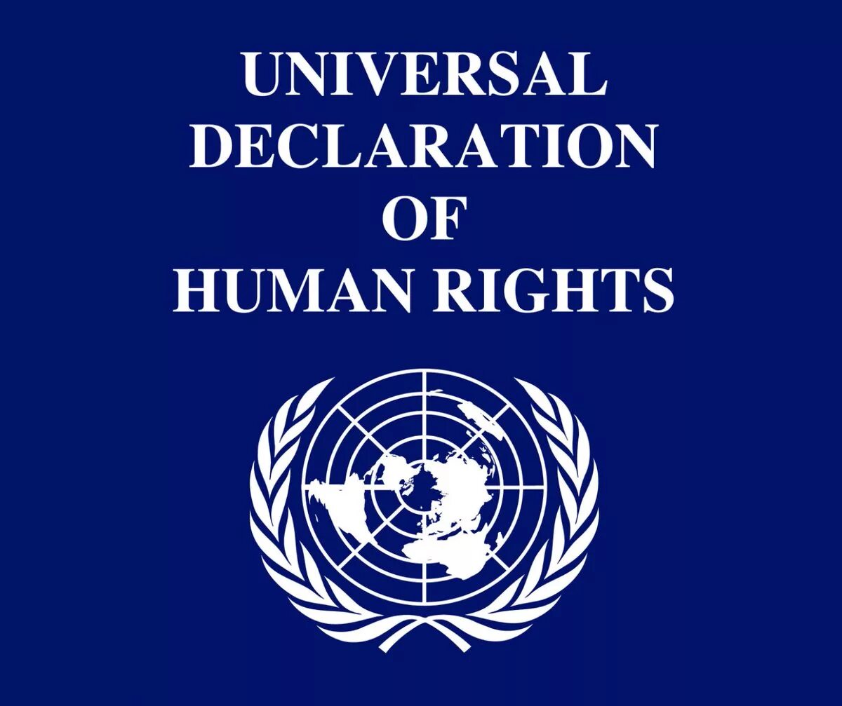Всеобщая прав человека была. Всеобщая декларация прав человека 1948 г. Декларация прав человека книга. Всеобщая декларация прав человека ООН. Всеобщая деклараци япра человека.