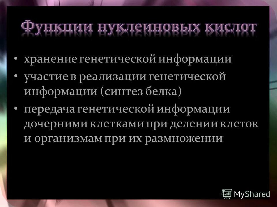 Роль нуклеиновых кислот в передаче генетической информации. Трансляция синтез белка на матрице рнк. Генетическая роль нуклеиновых кислот. Хранение наследственной информации участие в синтезе белков. Хранение наследственной информации участие в синтезе белков.
