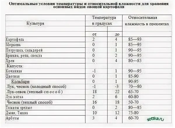 Погреб температура для хранения овощей зимой