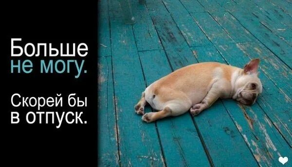 Ему больше не в мочь