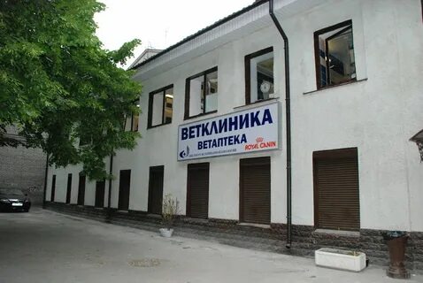 Невская ветеринарная лечебница ул ольминского 5 отзывы