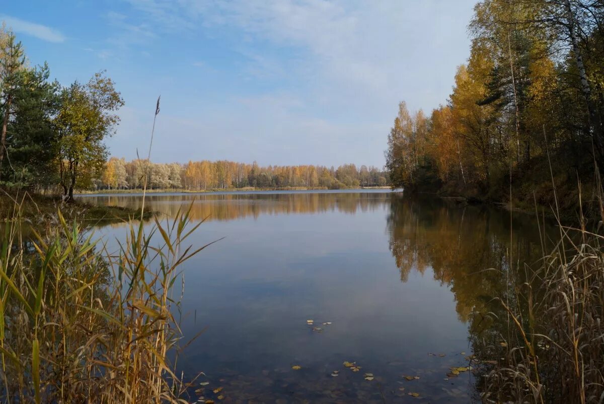 мга рыбацкое завтра. река мга кировский район. венеглово река мга. окунь фото. мга рыбацкое завтра.