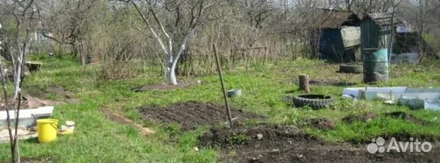 Купил заросший участок. Заросший участок в снт. заросшая дача с чего начать. перекопать заросший участок. заросший участок с чего начать.