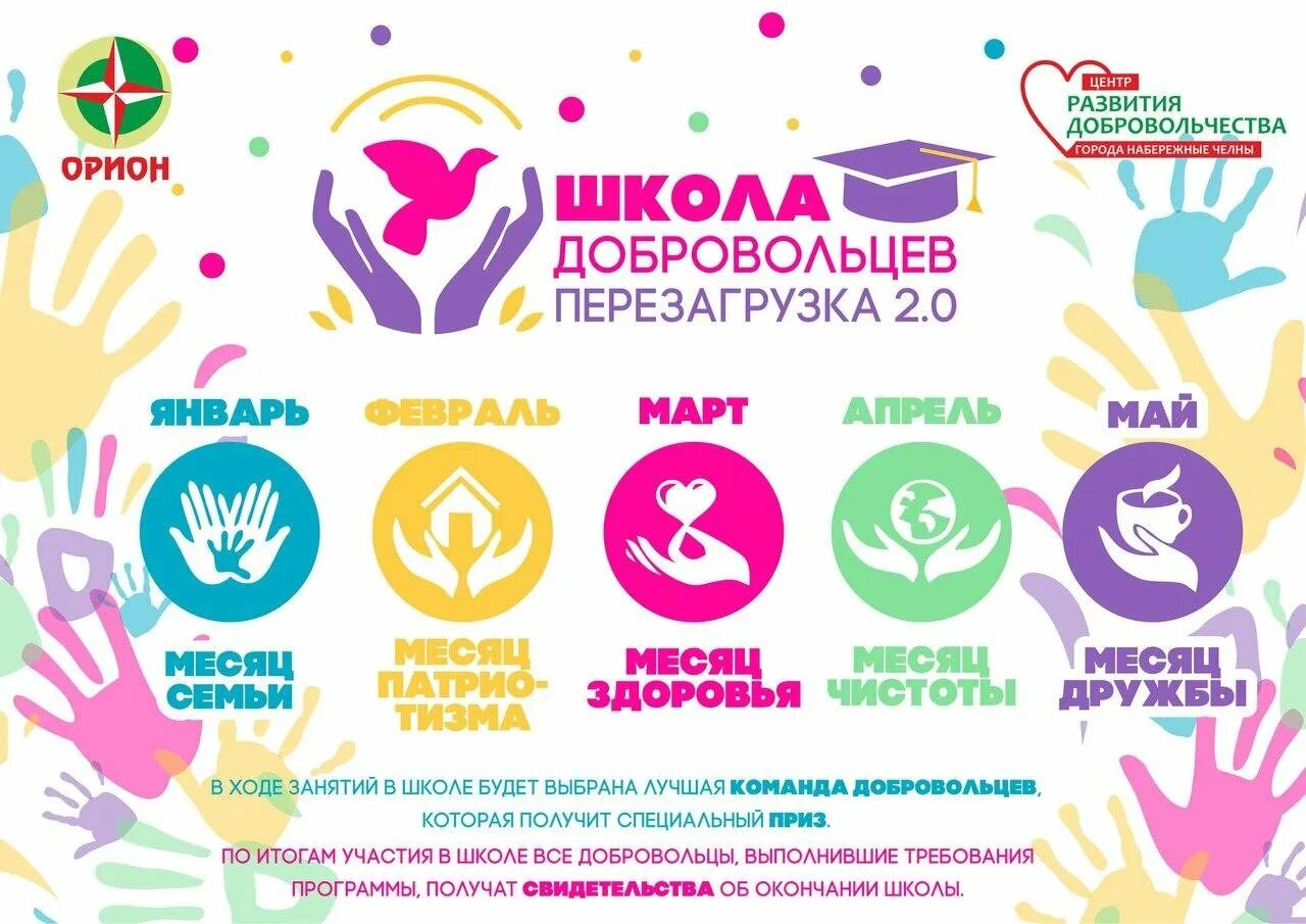 Волонтерские программы на год
