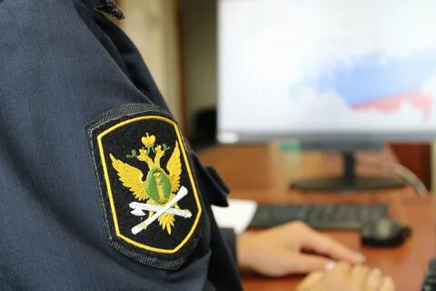 Федеральная служба судебных приставов обеспечивает