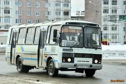 Паз вайлдберриз