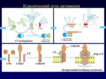 C активированный