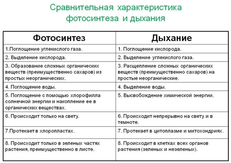 Сравнительная характеристика фотосинтеза и дыхания таблица 6 класс. Сравнительная характеристика дыхания и фотосинтеза таблица. Сравнительная характеристика фотосинтеза и дыхания. Сравнение процессов фотосинтеза. Сравнение процессов фотосинтеза и дыхания где происходит