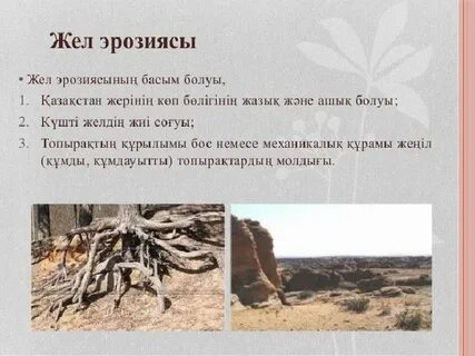 Порно жетілген нейлон минет анал