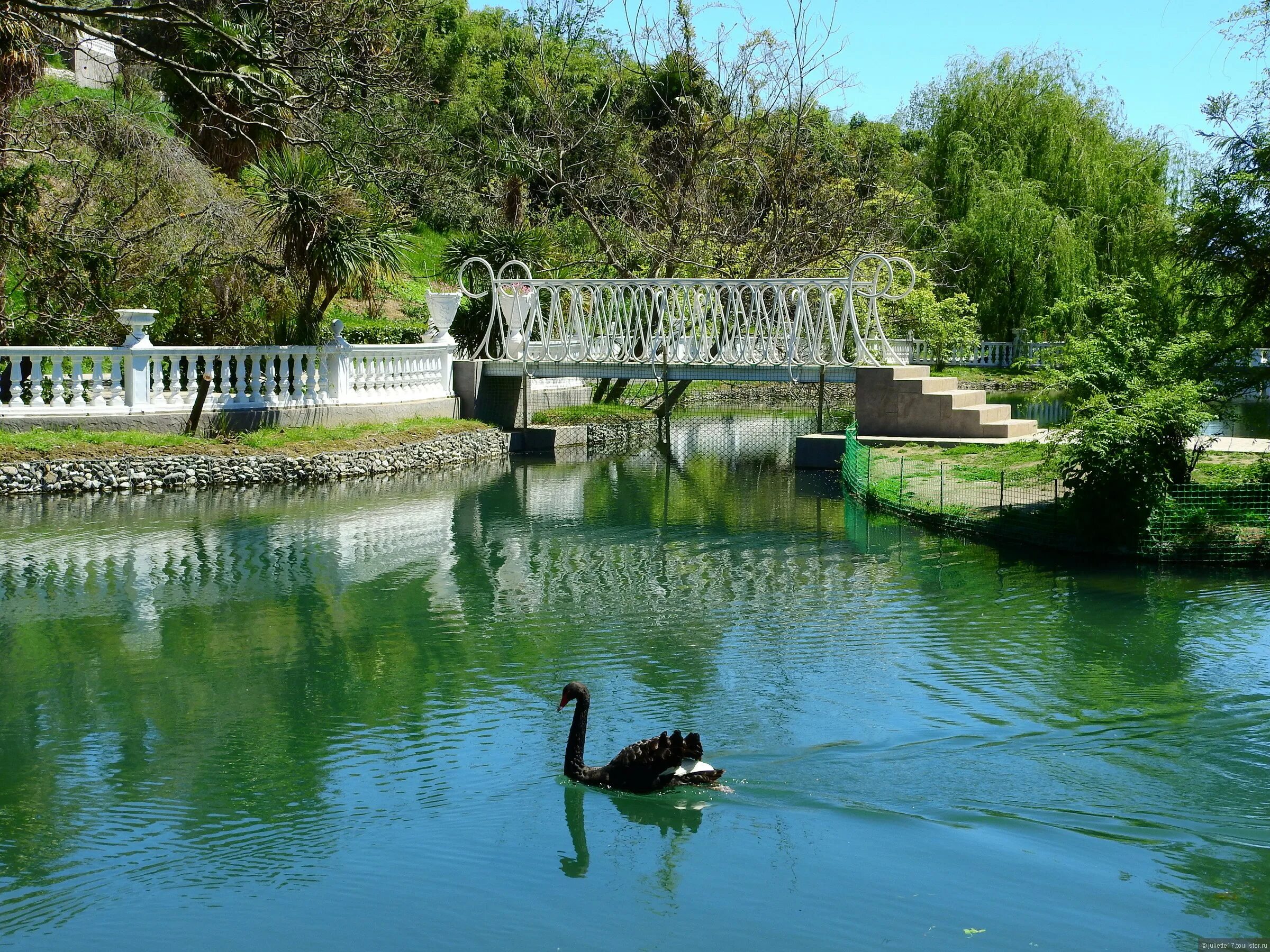 Парк дендрарий в адлере южные культуры. Дендрологический парк южные культуры сочи. Дендрологический парк южные культуры. Дендропарк южные культуры в адлере. Южные культуры адлер.