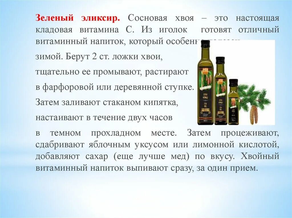 Напиток из хвои в блокадном ленинграде. Витаминный напиток из хвои. витамин с в хвое сосны. состав хвои сосны. приготовление витаминного напитка из хвои.