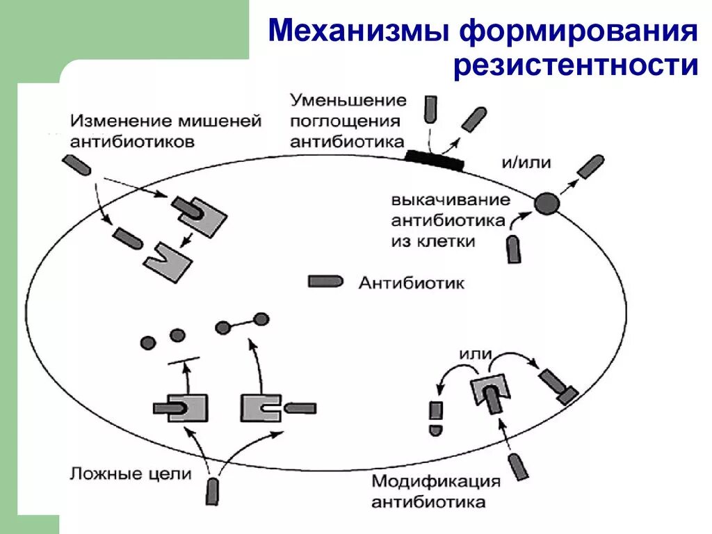 Общая резистентность. Механизмы лекарственной устойчивости бактерий. Механизмы резистентности микроорганизмов к антибиотикам. Механизм естественного устойчивость микроорганизмов к антибиотикам. Механизмы резистентности бактерий к антибиотикам.