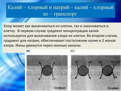 Калий натрий хлор