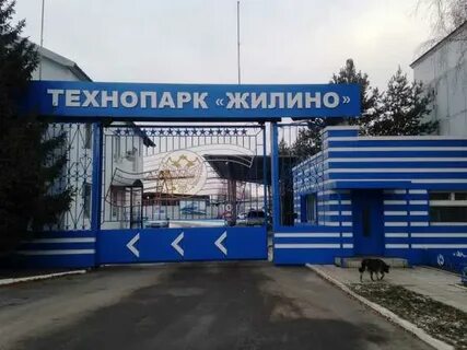 Жилино ногинск
