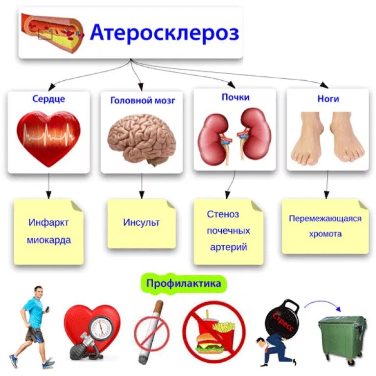 Нижних конечностей и головного мозга