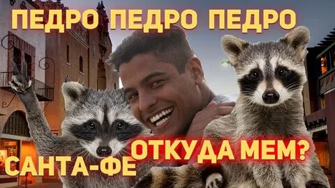 Клип педро с енотом