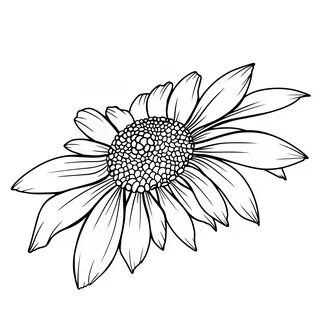 Daisy outline drawing