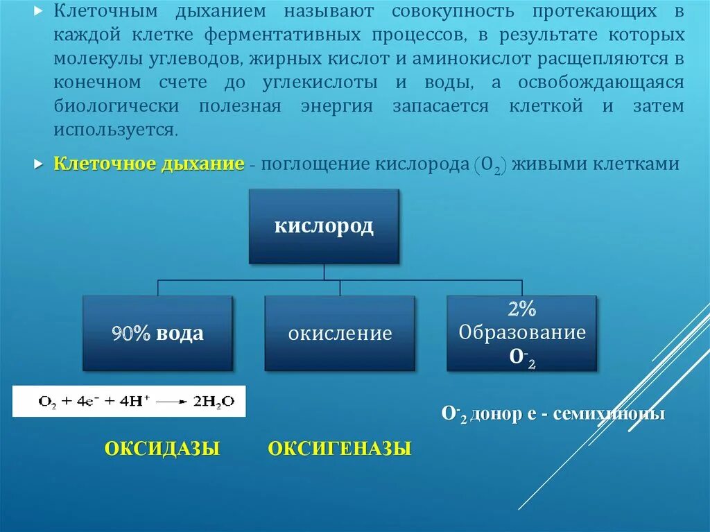 Изменения дыхания клеток. Клеточное дыхание схема. Процесс дыхания клетки. Роль клеточного дыхания. Клеточный Тип дыхания.