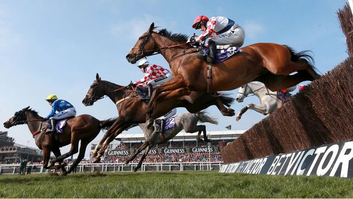 Скачки с препятствиями сканворд 6. Стипль Чейз. Grand National Horse Race в Британии. Ипподром Cheltenham в Англии. Скачки стипль ЧЕЗ.