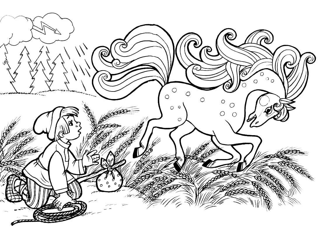 Иллюстрации к сказкам раскраски. Иллюстрация к сказке Сивка бурка. Сивка бурка и конек горбунок. Рисунки к сказке Сивка бурка для детей. Раскраска к сказке Сивка бурка для детей.