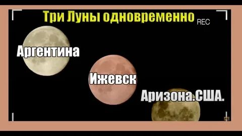 Луна не дает спать